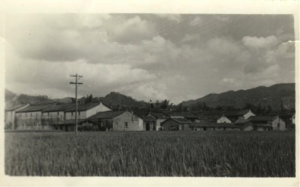 old beitang 2